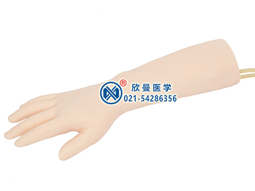 XM-S5M標(biāo)準(zhǔn)靜脈輸液手部模型