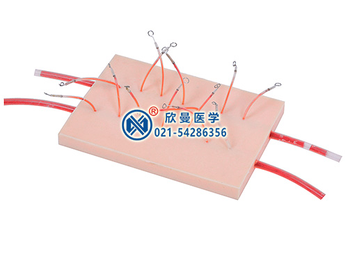 表面血管結(jié)扎止血操作模型