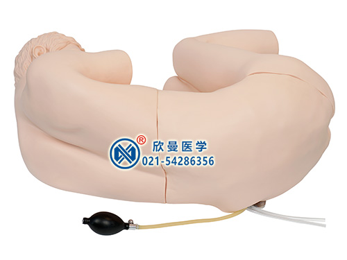 XM-YC腰椎穿刺模擬人,腰椎穿刺訓(xùn)練仿真標(biāo)準(zhǔn)化病人模型