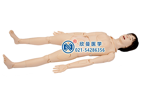 XM-F22骨盆測(cè)量模型,骨盆測(cè)量模擬人