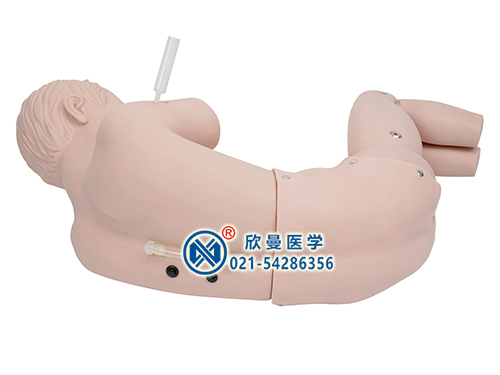 XM-YCF兒童腰椎穿刺訓(xùn)練仿真標(biāo)準(zhǔn)化病人模型,兒童腰椎穿刺模擬人