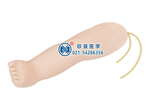 XM-S8D嬰兒腿部靜脈穿刺模型,新生兒靜脈穿刺腿模型