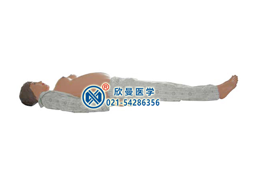 XM-YF3高級(jí)全身電腦孕婦檢查仿真模型,電子孕婦腹部觸診產(chǎn)科檢查模擬人