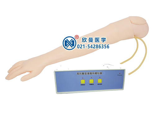 XM-S4-2成人動(dòng)脈穿刺操作模型