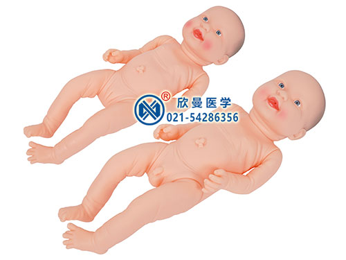 高級(jí)嬰兒/新生兒護(hù)理模型