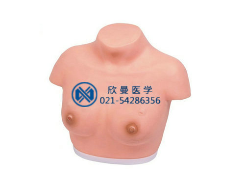 高級(jí)乳腺視診與觸診模型