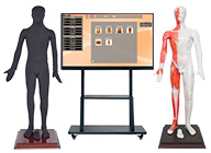 19-75寸多媒體人體針灸穴交互數字平臺