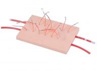 表面血管結(jié)扎止血操作模型
